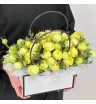 Летнее солнце