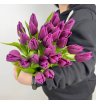 Тюльпан Фиолетовый