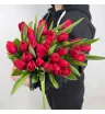 Тюльпан Красный