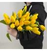 Тюльпан Жёлтый