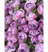 Кустовая роза &laquo;Лавандер Бабблз&raquo; (Lavender Bubbles) 1