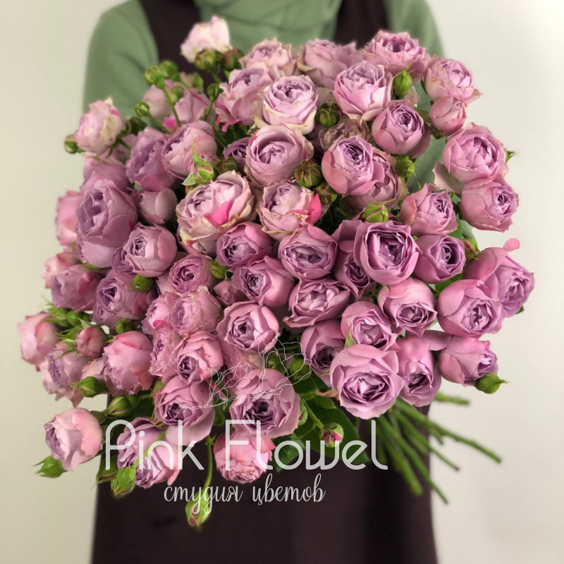 Кустовая роза «Лавандер Бабблз» (Lavender Bubbles)