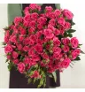 Кустовая роза «Пинк Дайменшенс» (Pink Dimensions)