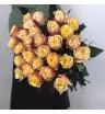 Роза сорта «999»