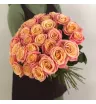 Роза сорта «Мисс Пигги» (Miss Piggy)
