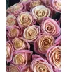 Роза сорта «Мисс Пигги» (Miss Piggy) 1