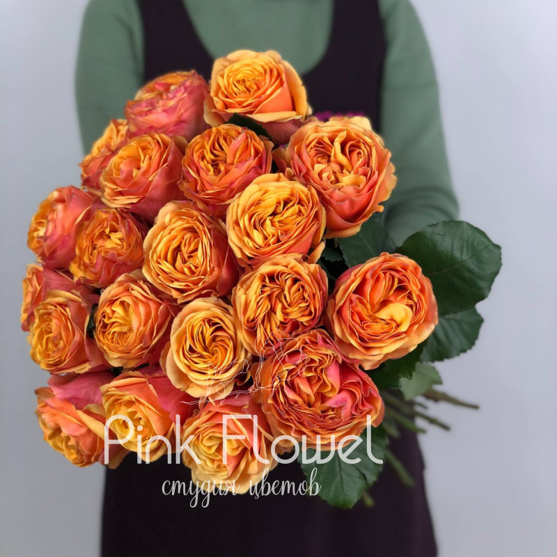 Роза сорта «Лиана Оранж» (Liane Orange)
