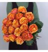 Роза сорта «Лиана Оранж» (Liane Orange)