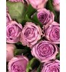 Роза сорта «Сиреневый Туман» (Lilac Fog) 1