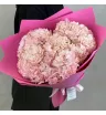 Розовые грёзы гортензии