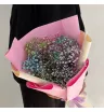 Бисквит из гипсофилы