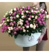 Удивительное рядом