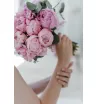 Розовый бриз 1